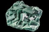 Cubic, Green Fluorite with Blue Core Phantoms - China #112056-1